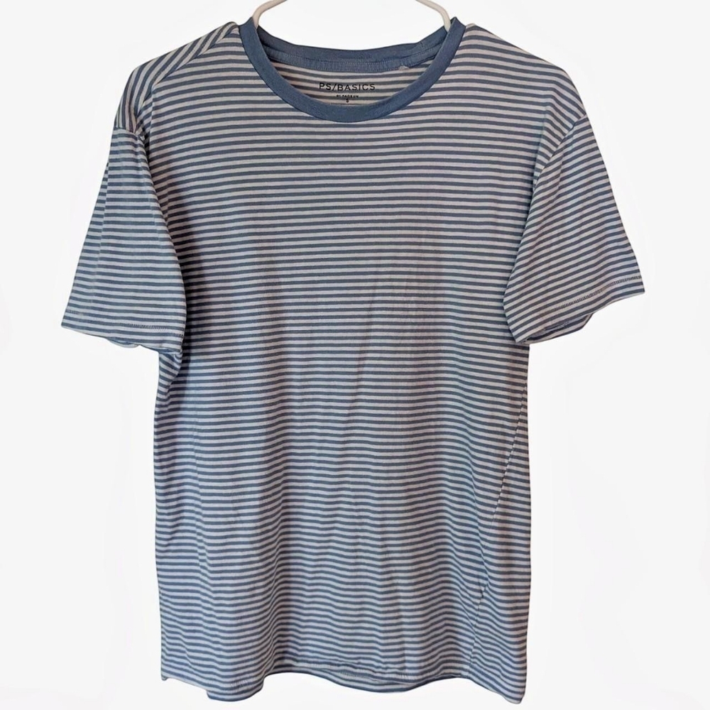 Pacsun Basics light blue white striped ringer tee shirt